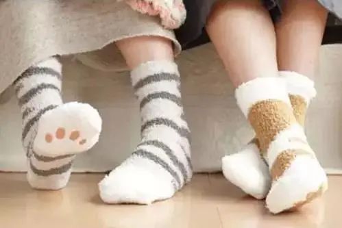 冬天多吃种子精华,补补耗干的肾精!! 冬天多吃种子精华,补补耗干的肾精!!