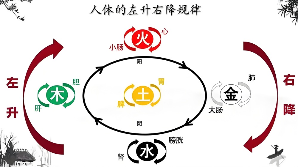 中医从业遇瓶颈？金氏五行升降中医，助你突破进阶！