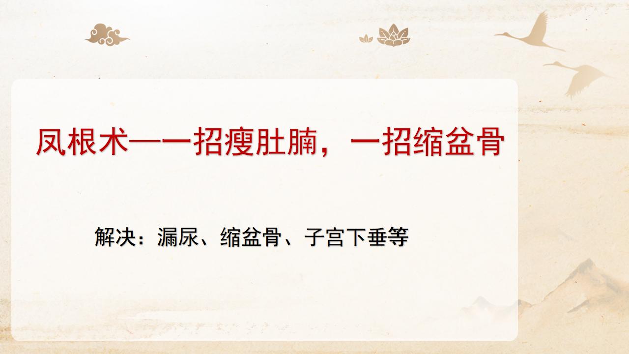 中域教育第128期龙凤根术基础班学术交流会（郑州站）开课啦！