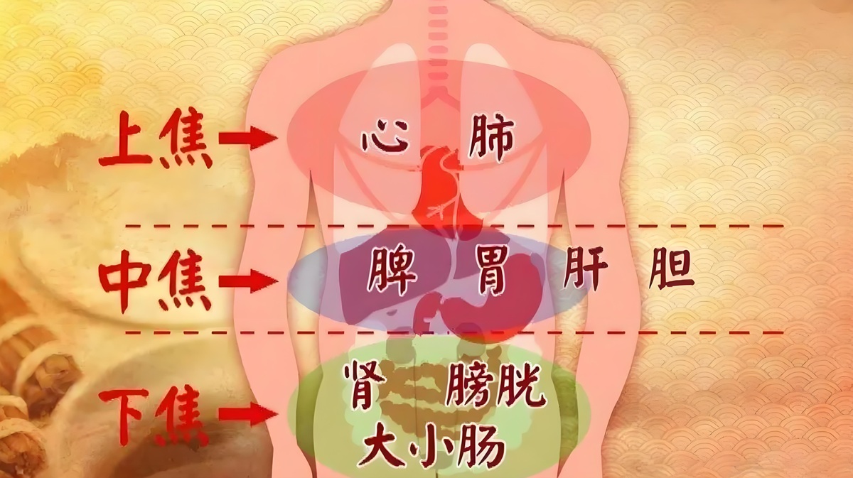 焦平老师演示龙根术通三焦，帮你打通身体“生命通道”！