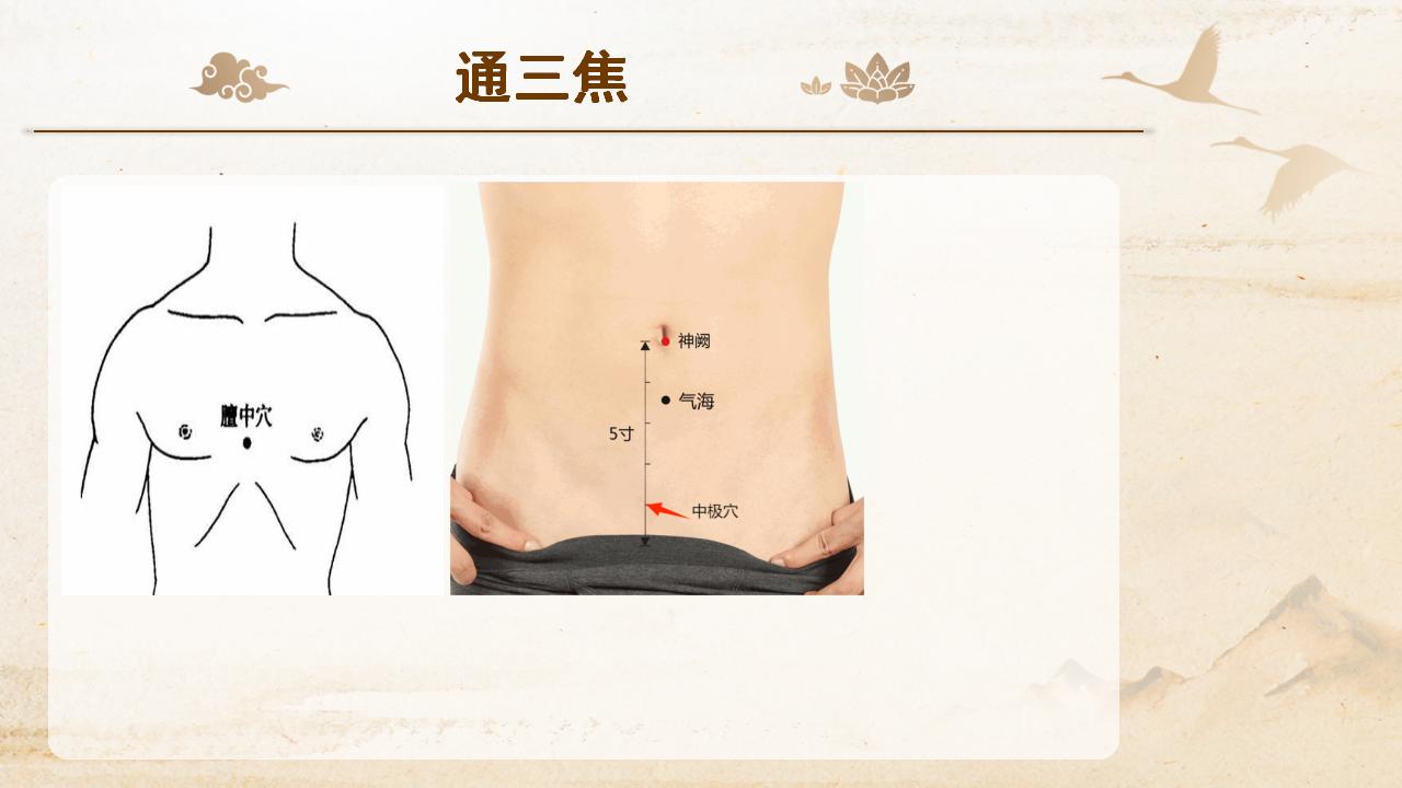 龙凤根术通三焦