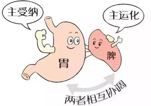 宝宝脾胃不好有哪些表现? 宝宝脾胃不好有哪些表现?