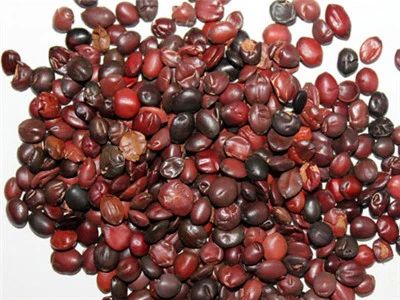 晚上睡不着,建议别放过这5种“天然安眠药”! 晚上睡不着,建议别放过这5种“天然安眠药”!