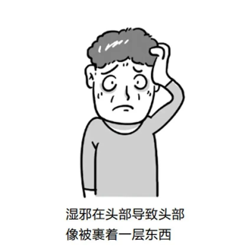 只有5味中药,从根上断绝湿气,还能治气虚和脾虚! 只有5味中药,从根上断绝湿气,还能治气虚和脾虚!