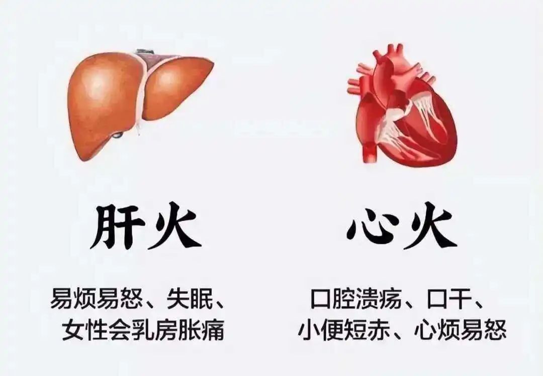 每天10分钟，一个月把肝养回来！