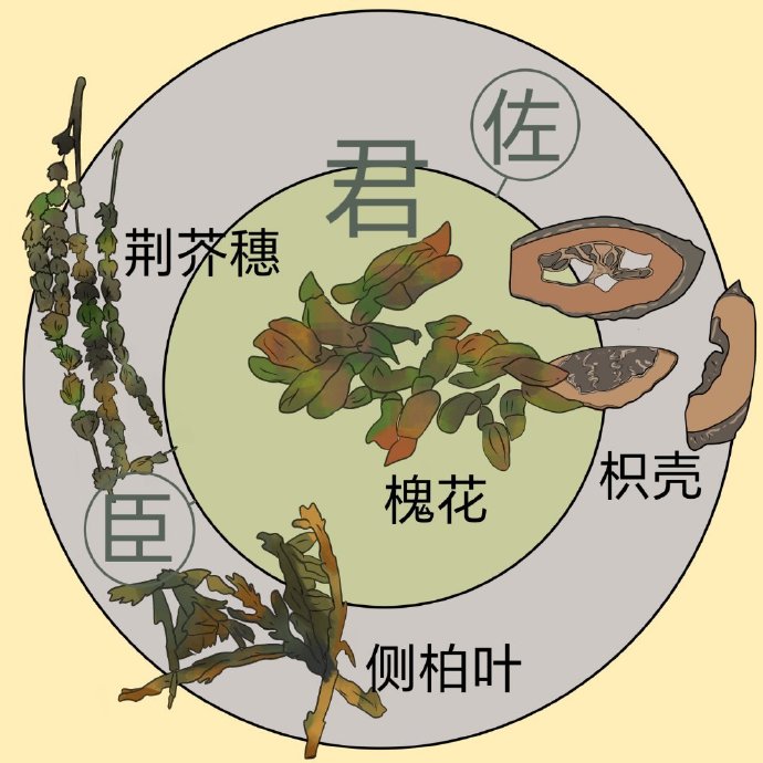 槐花散:槐花、侧柏叶、荆芥穗炒黑、枳壳 槐花散:槐花、侧柏叶、荆芥穗炒黑、枳壳