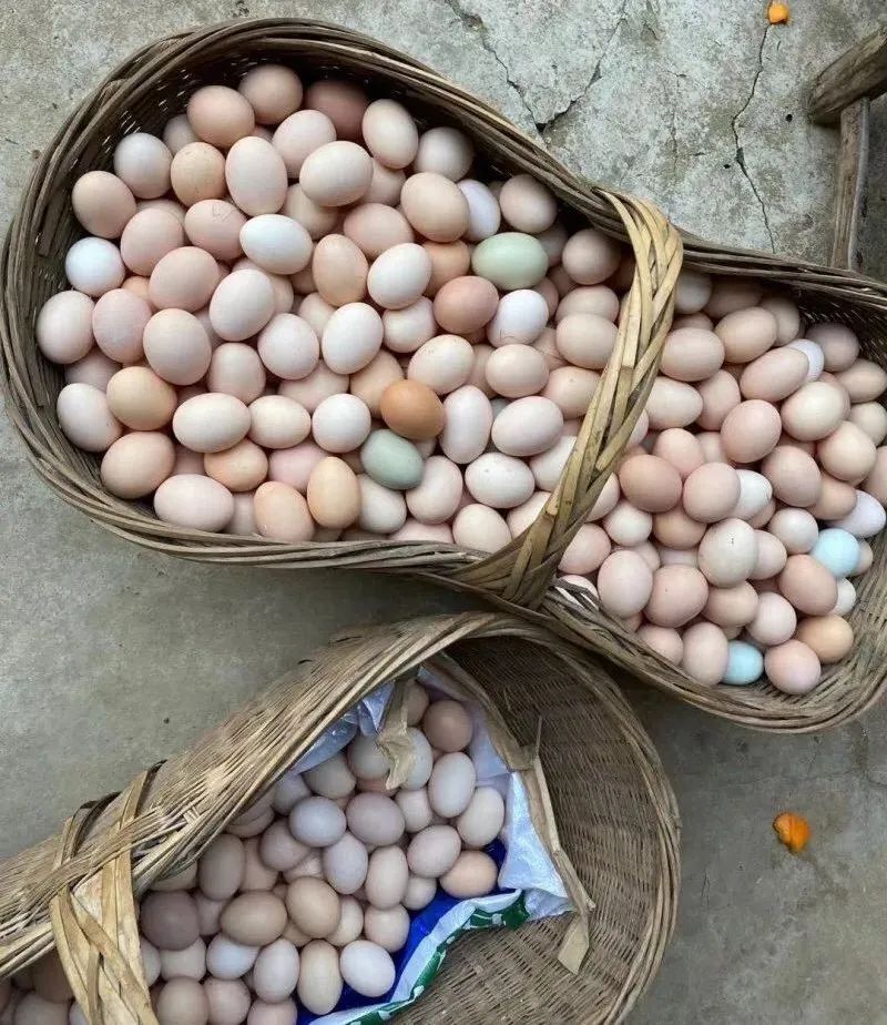 美国飞机上惊险抢回人命！中国非遗 「飞针」绝技震惊全球，20国跪求的神秘医术曝光！