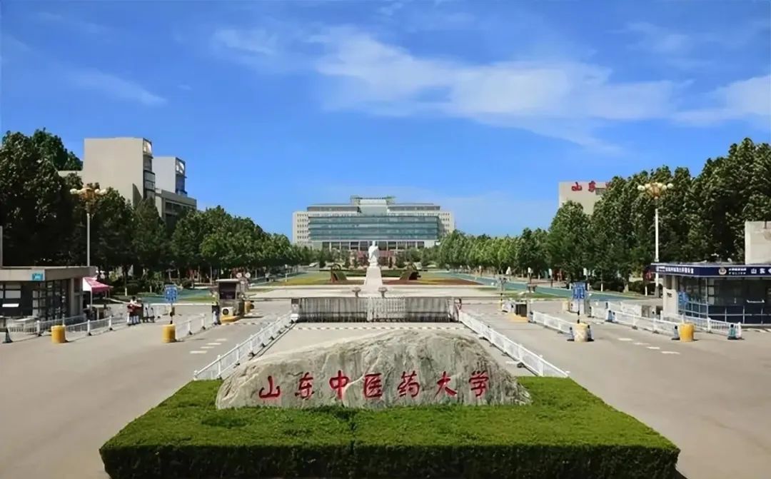 美国飞机上惊险抢回人命！中国非遗 「飞针」绝技震惊全球，20国跪求的神秘医术曝光！