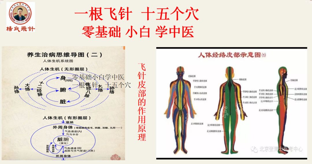 美国飞机上惊险抢回人命!中国非遗 「飞针」绝技震惊全球,20国跪求的神秘医术曝光! 美国飞机上惊险抢回人命!中国非遗 「飞针」绝技震惊全球,20国跪求的神秘医术曝光!